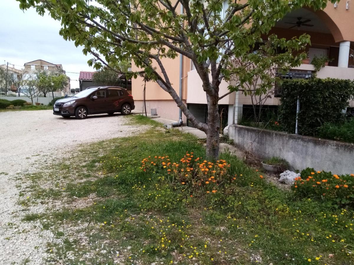 Apartments Vanja Skara Biograd Биоград-на-Мору Экстерьер фото