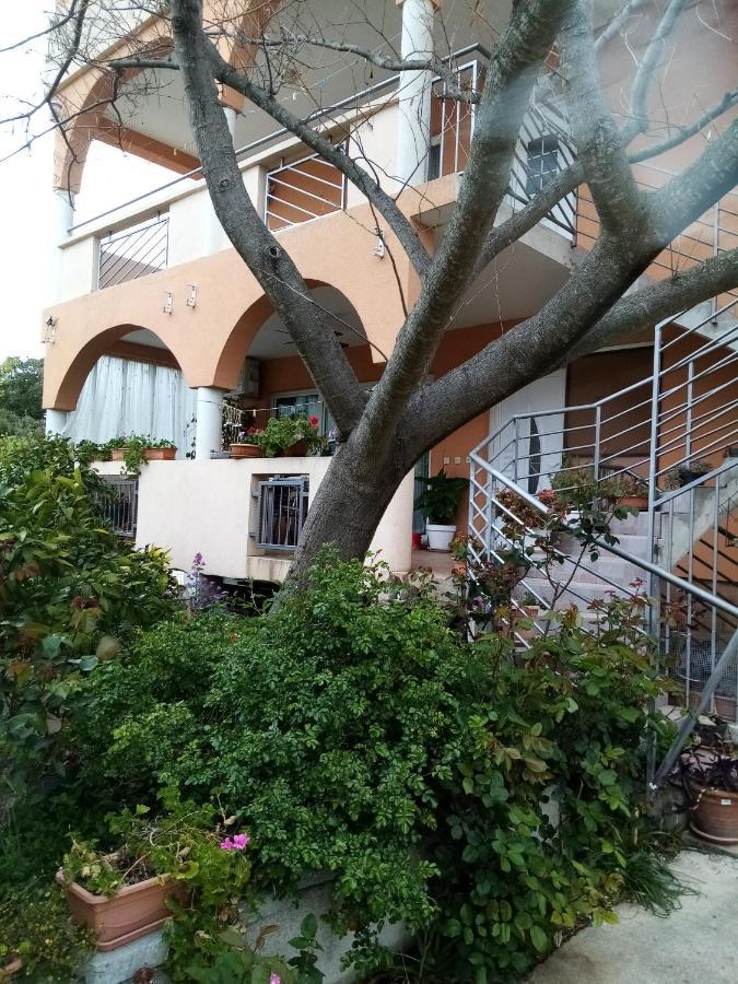 Apartments Vanja Skara Biograd Биоград-на-Мору Экстерьер фото